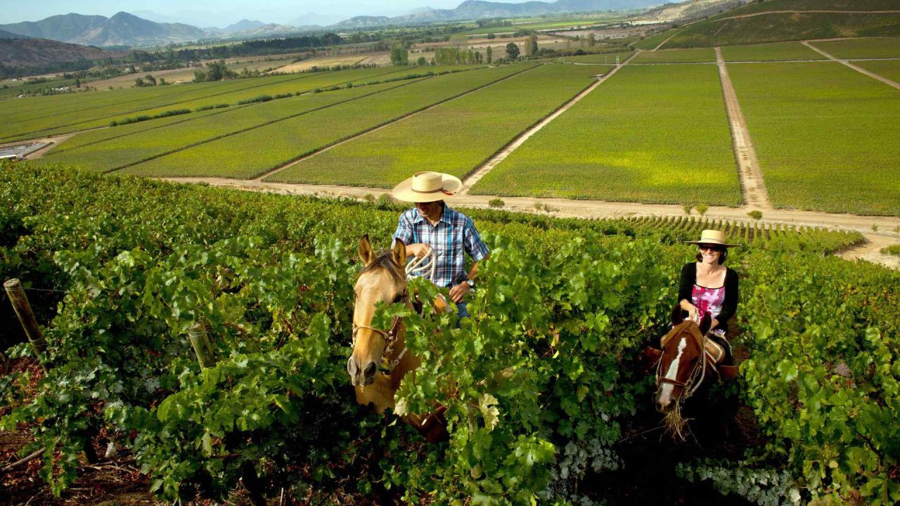 The Best Wine Tours in Chile